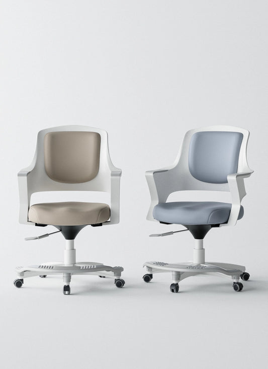 Ergonomic Office Chair