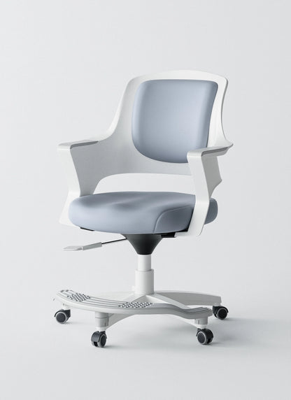 Ergonomic Office Chair