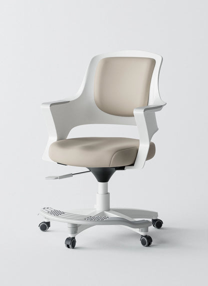 Ergonomic Office Chair