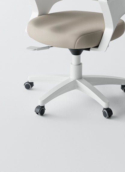 Ergonomic Office Chair