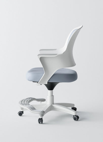 Ergonomic Office Chair