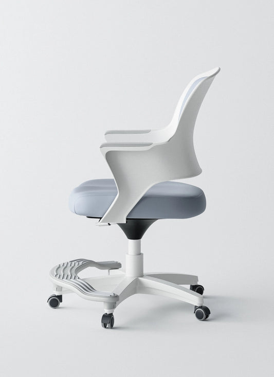 Ergonomic Office Chair