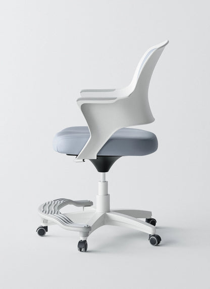 Ergonomic Office Chair