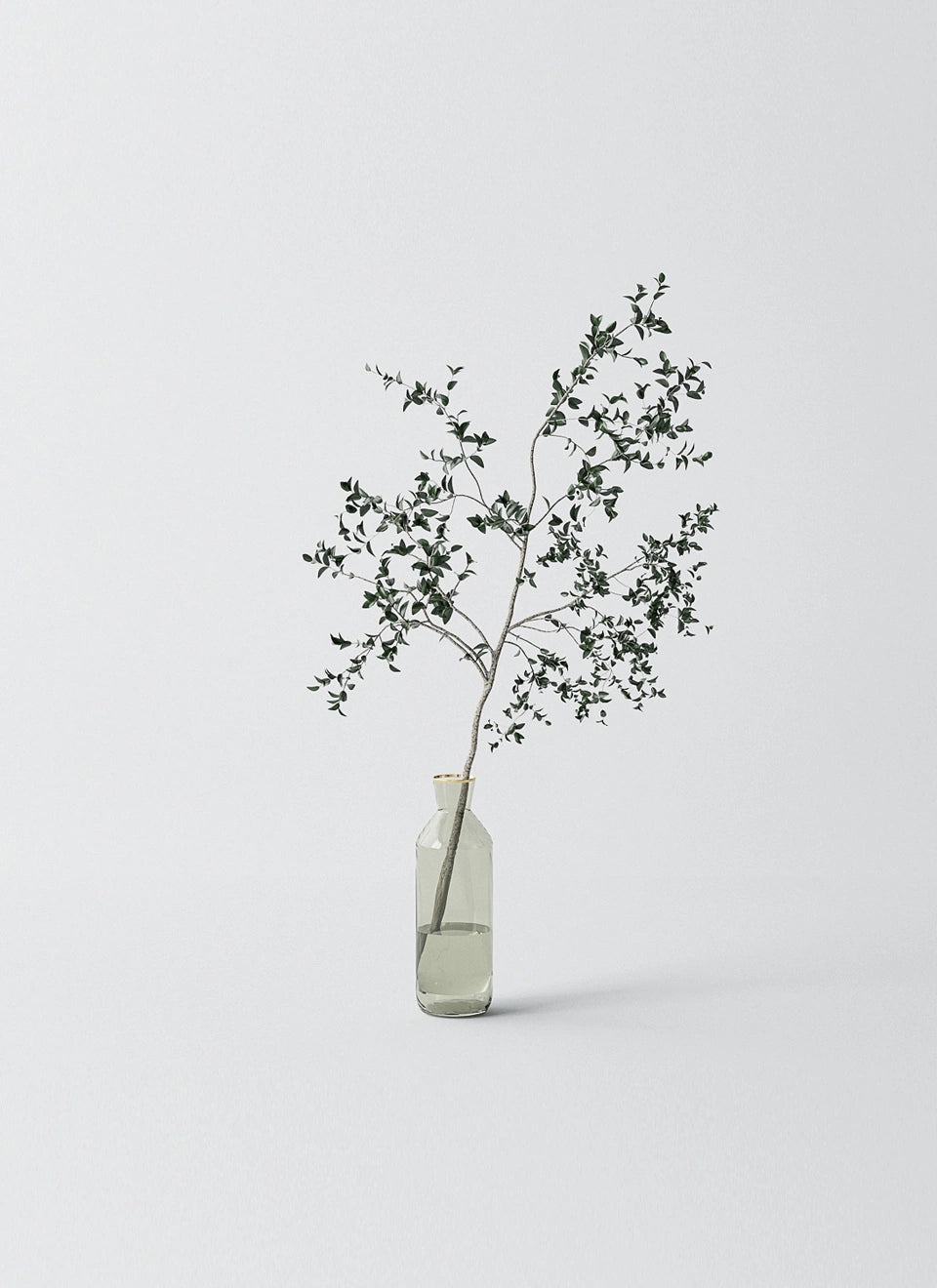 Plant vase