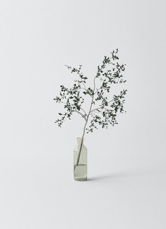 Plant vase